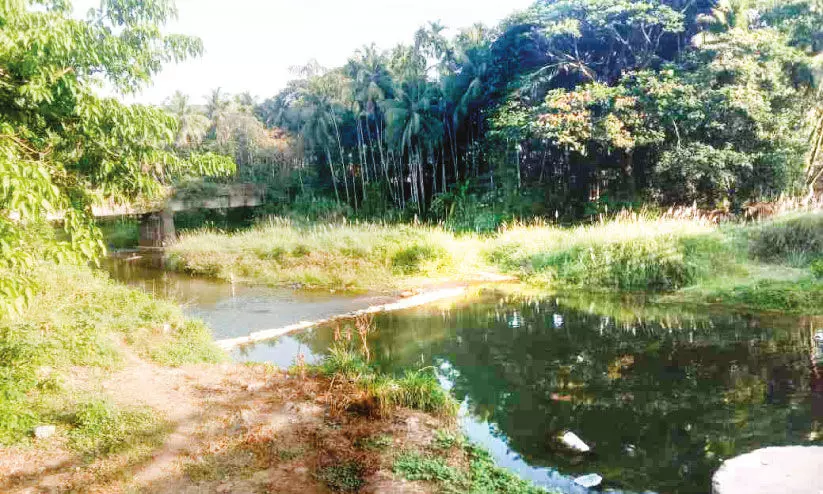 ഇടവപ്പാതിയും കൈവിട്ടു; തുപ്പനാട് പുഴ നിറഞ്ഞില്ല ഇടവപ്പാതിയും കൈവിട്ടു; തുപ്പനാട് പുഴ നിറഞ്ഞില്ല