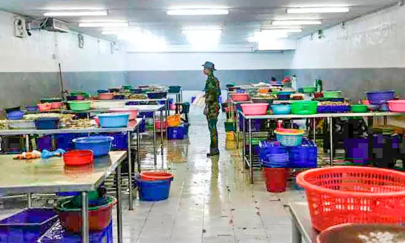 ട്രോളിങ് നിരോധനം അരൂരിലെ ചെമ്മീൻ വ്യവസായ മേഖല സ്തംഭിക്കും ട്രോളിങ് നിരോധനം അരൂരിലെ ചെമ്മീൻ വ്യവസായ മേഖല സ്തംഭിക്കും