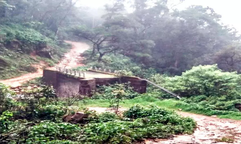 ആദിയും അന്തവുമില്ലാതെ വനാന്തരത്തിലൊരു പാലം