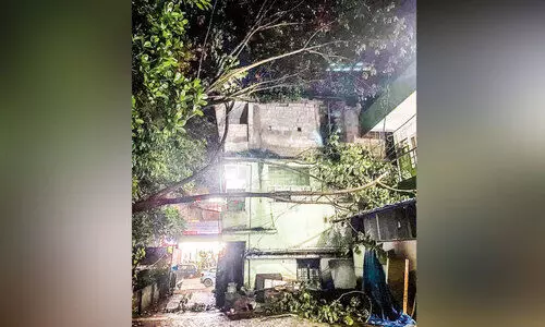 കാ​റ്റി​ൽ മ​രം വീ​ണു