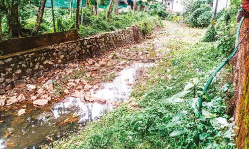 ജ​ലാ​ശ​യ ന​വീ​ക​ര​ണം വാ​ക്കി​ലൊ​തു​ങ്ങി വ​ലി​യ തോ​ടി​ന് ശാ​പ​മോ​ക്ഷ​മി​ല്ല