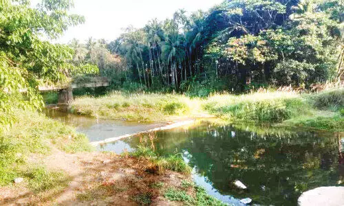 ഇ​ട​വ​പ്പാ​തി​യും കൈ​വി​ട്ടു; തു​പ്പ​നാ​ട് പു​ഴ നി​റ​ഞ്ഞി​ല്ല