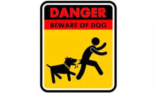 സഞ്ചാരികളുടെ ശ്രദ്ധക്ക്​ പട്ടിയുണ്ട്​, സൂക്ഷിക്കുക