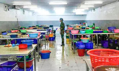 ട്രോളിങ്​ നിരോധനം അരൂരിലെ ചെമ്മീൻ   വ്യവസായ മേഖല സ്തംഭിക്കും