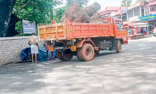 കോട്ടയം മെഡിക്കൽ കോളജ് അനധികൃതമായി തടി കടത്തി; ഒടുവിൽ തിരികെയെത്തിച്ച്​ തലയൂരൽ