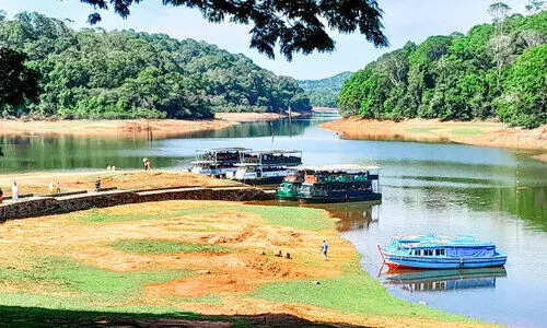 ആളും ആരവവും ഒഴിഞ്ഞ് തേക്കടി