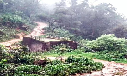 ആദിയും അന്തവുമില്ലാതെ വനാന്തരത്തിലൊരു പാലം