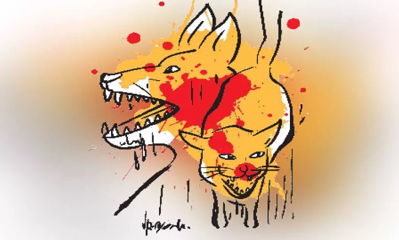 തെരുവുനായ് ആക്രമണം വർധിക്കുന്നു; പത്തനംതിട്ട ജില്ലയിൽ പേവിഷ പ്രതിരോധ അനുബന്ധ വാക്സിന് ക്ഷാമം