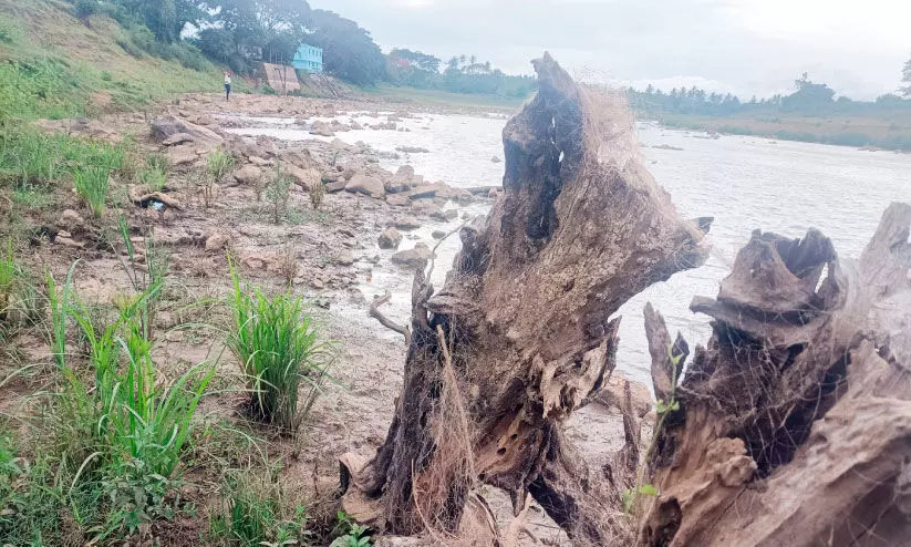 മ​ഴ തു​ട​ങ്ങി​യി​ട്ടും ക​ബ​നി ന​ദി വ​റ്റി തീ​രം ഇ​ടി​ഞ്ഞ് ഇ​ല്ലാതാ​കു​ന്നു