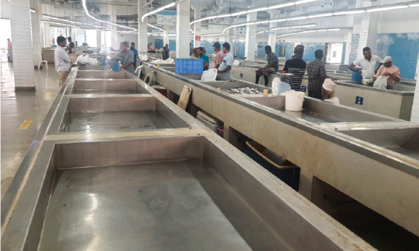 scarcity of fish scarcity of fish