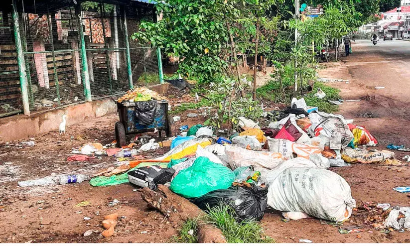 സർവത്ര വലിച്ചെറിയൽ; പോളയത്തോട്ടിൽ മാലിന്യം നിറയുന്നു സർവത്ര വലിച്ചെറിയൽ; പോളയത്തോട്ടിൽ മാലിന്യം നിറയുന്നു