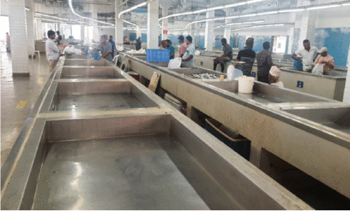 scarcity of fish scarcity of fish