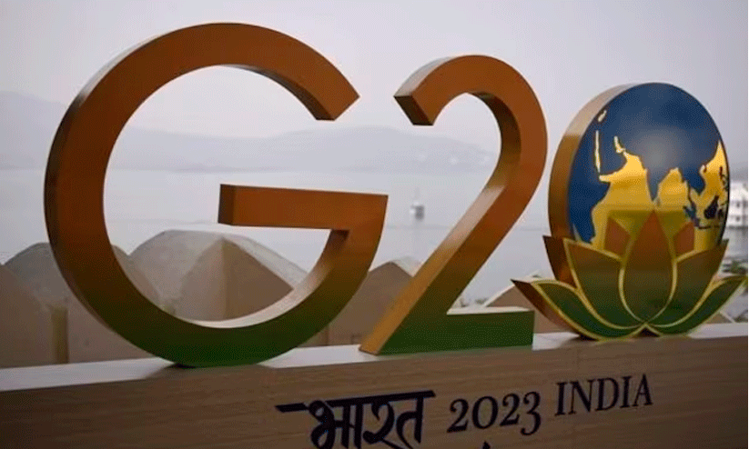 G20 Working Committee G20 Working Committee