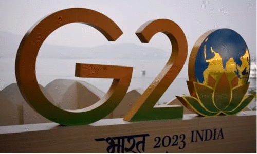 G20 Working Committee