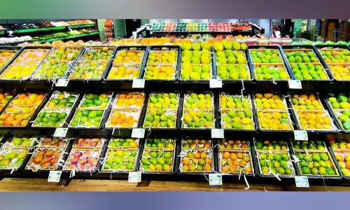 ഇ​ന്ത്യ​ൻ മാമ്പഴ സീ​സ​ൺ അ​വ​സാ​നി​ക്കു​ന്നു; ഇ​നി പാ​കി​സ്താ​ൻ മാ​മ്പഴക്കാലം