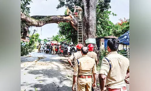 റോ​ഡി​ൽ വീ​ണ മ​രം മു​റി​ച്ചു​നീ​ക്കി അ​ഗ്നി​ര​ക്ഷ സേ​ന