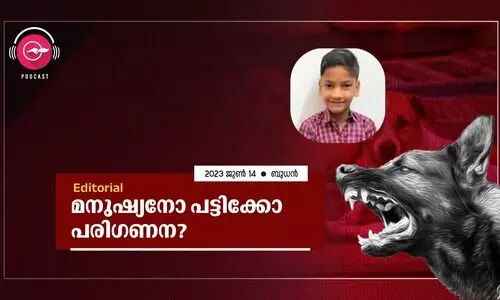 street dogs attack cases