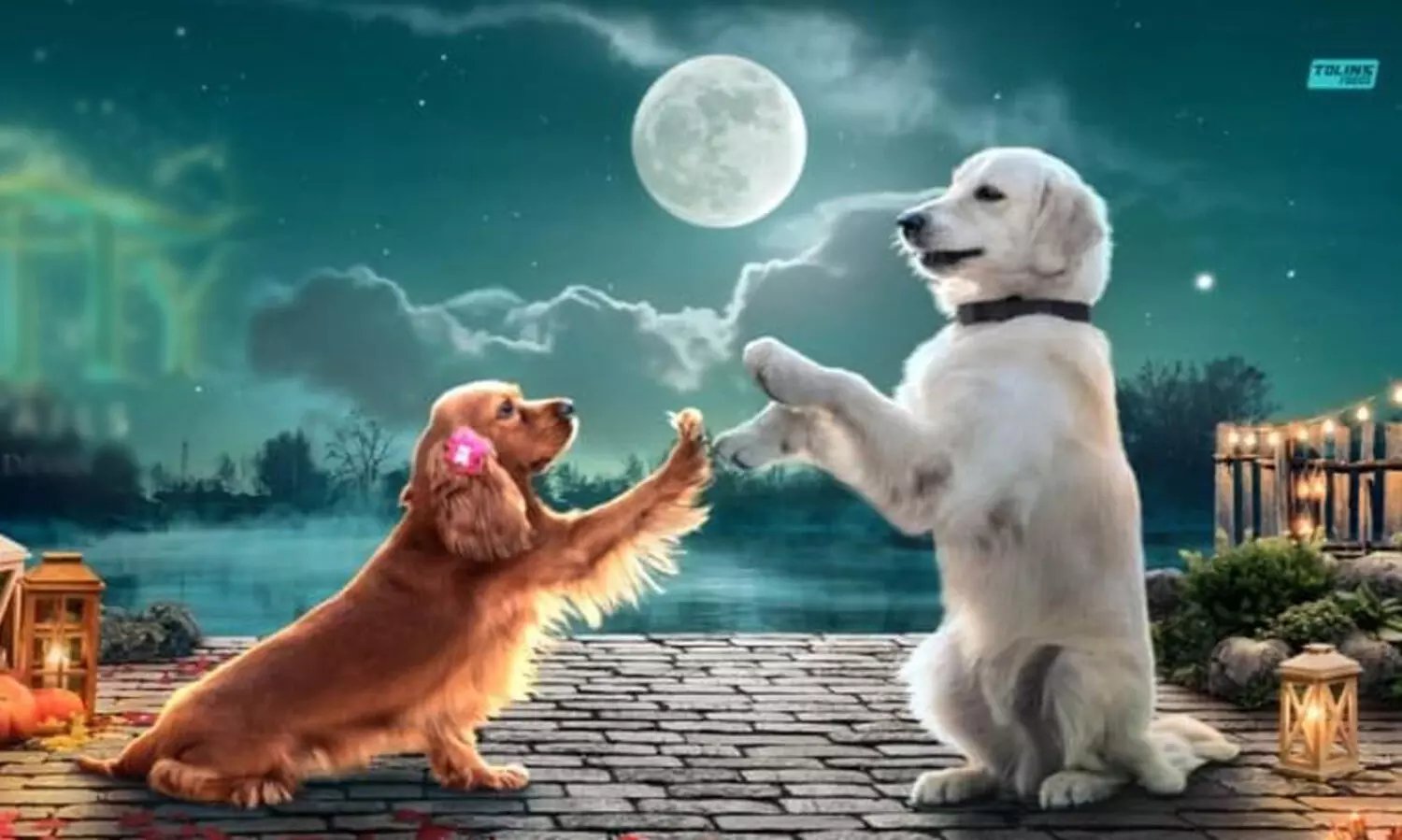 ‘ടോമി - അമലു ലൗ സ്റ്റോറി’; ‘വാലാട്ടി’​ ട്രെയിലർ പുറത്തുവിട്ട് ഫ്രൈഡേ ഫിലിം ഹൗസ്