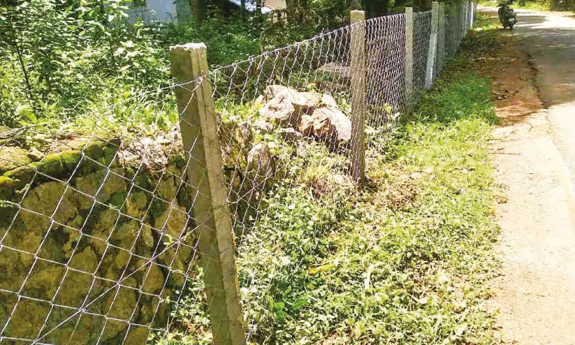കോട്ടായി, പുളിനെല്ലി മേഖലയിൽ കൈയേറ്റം വ്യാപകമെന്ന് ആക്ഷേപം കോട്ടായി, പുളിനെല്ലി മേഖലയിൽ കൈയേറ്റം വ്യാപകമെന്ന് ആക്ഷേപം