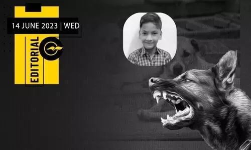 street dogs attack case