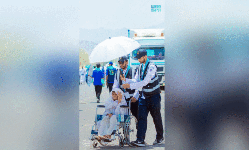 ആഭ്യന്തര തീർഥാടകർക്ക് സേവനത്തിന് 177 കമ്പനികൾ