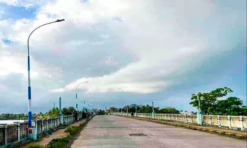 അരൂർ-ഇടക്കൊച്ചി പാലത്തിൽ വിളക്കുകാലുകൾ മിഴിതുറന്നു