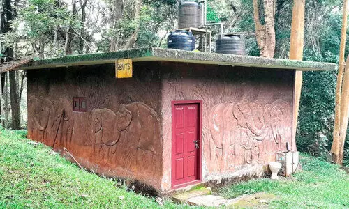 തേക്കടിയിൽ ടോയ്​ലറ്റിന്‍റെ പുറത്ത് ‘ആനക്കാര്യം’; ഉള്ളിൽ തുള്ളി വെള്ളമില്ല