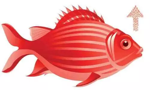 fish price hike