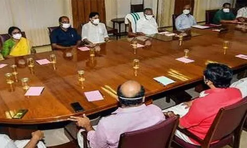 സ്വാതി പ്രഭക്ക് നിയമനം നൽകാൻ മന്ത്രിസഭയോഗ തീരുമാനം