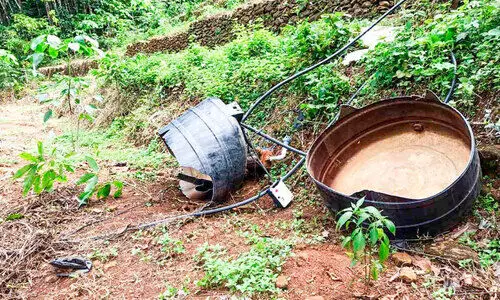 വീട്ടുമുറ്റത്ത് ആനക്കൂട്ടം; ഭീതിയിൽ കൊപ്പം