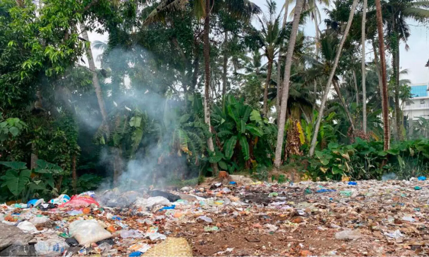 കച്ചേരിക്കുളം സംരക്ഷിക്കാൻ നടപടിയുമായി ബാലരാമപുരം പഞ്ചായത്ത്