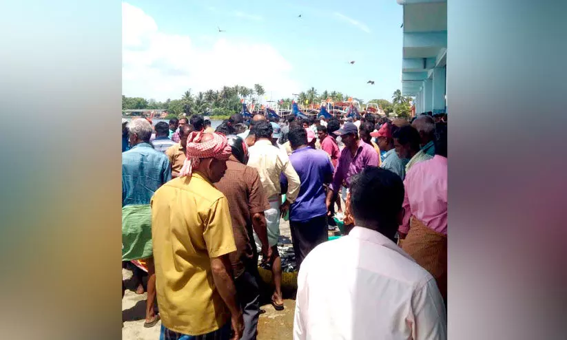 കാത്തിരിപ്പിനൊടുവിൽ ‘മത്തി’ ആവോളം