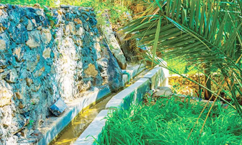 കഴിഞ്ഞ മാസം നൽകിയത് 785 ജല ലൈസൻസുകൾ കഴിഞ്ഞ മാസം നൽകിയത് 785 ജല ലൈസൻസുകൾ