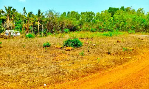ശിലയിട്ട് ഒരു വർഷം കഴിഞ്ഞു;  എവിടെ ഭക്ഷ്യ സംഭരണശാല?