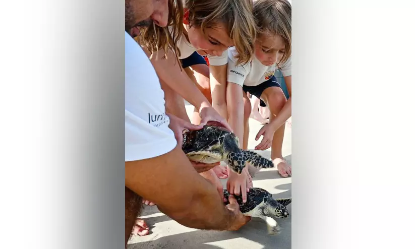 21 അപൂർവ ആമകളെ കടലിലേക്ക് തിരിച്ചയച്ചു 21 അപൂർവ ആമകളെ കടലിലേക്ക് തിരിച്ചയച്ചു