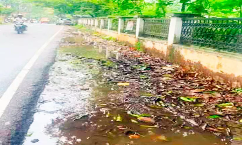 നടപ്പാതയില്ല, ചളിനിറഞ്ഞ റോഡും; യഹൂദ ശ്മശാനത്തിന് സമീപം കാൽനട ദുരിതമാവുന്നു നടപ്പാതയില്ല, ചളിനിറഞ്ഞ റോഡും; യഹൂദ ശ്മശാനത്തിന് സമീപം കാൽനട ദുരിതമാവുന്നു