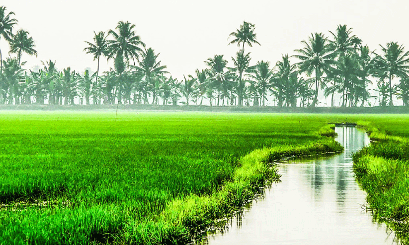 രണ്ടാം കുട്ടനാട് പാക്കേജിൽ അയ്മനം, ആർപ്പൂക്കര, കുമരകം, നീണ്ടൂർ പഞ്ചായത്തുകൾ രണ്ടാം കുട്ടനാട് പാക്കേജിൽ അയ്മനം, ആർപ്പൂക്കര, കുമരകം, നീണ്ടൂർ പഞ്ചായത്തുകൾ
