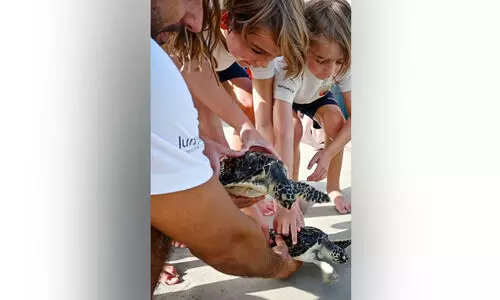 21 അ​പൂ​ർ​വ ആ​മ​ക​ളെ ക​ട​ലി​ലേ​ക്ക്​ തി​രി​ച്ച​യ​ച്ചു