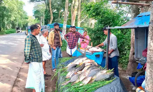 ‘മഴ തുടങ്ങി, പുഴയിൽ മീ​ൻ കൊയ്ത്തും’