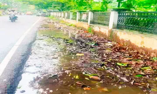 ന​ട​പ്പാ​ത​യി​ല്ല, ച​ളി​നി​റ​ഞ്ഞ റോ​ഡും; യ​ഹൂ​ദ ശ്മ​ശാ​ന​ത്തി​ന് സ​മീ​പം കാ​ൽ​ന​ട ദു​രി​ത​മാ​വു​ന്നു