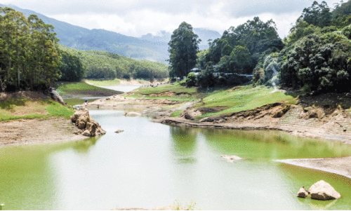 മഴയില്ല, സഞ്ചാരികളുമില്ല; മൺസൂൺ ടൂറിസം പച്ചപിടിക്കാതെ മൂന്നാർ മഴയില്ല, സഞ്ചാരികളുമില്ല; മൺസൂൺ ടൂറിസം പച്ചപിടിക്കാതെ മൂന്നാർ
