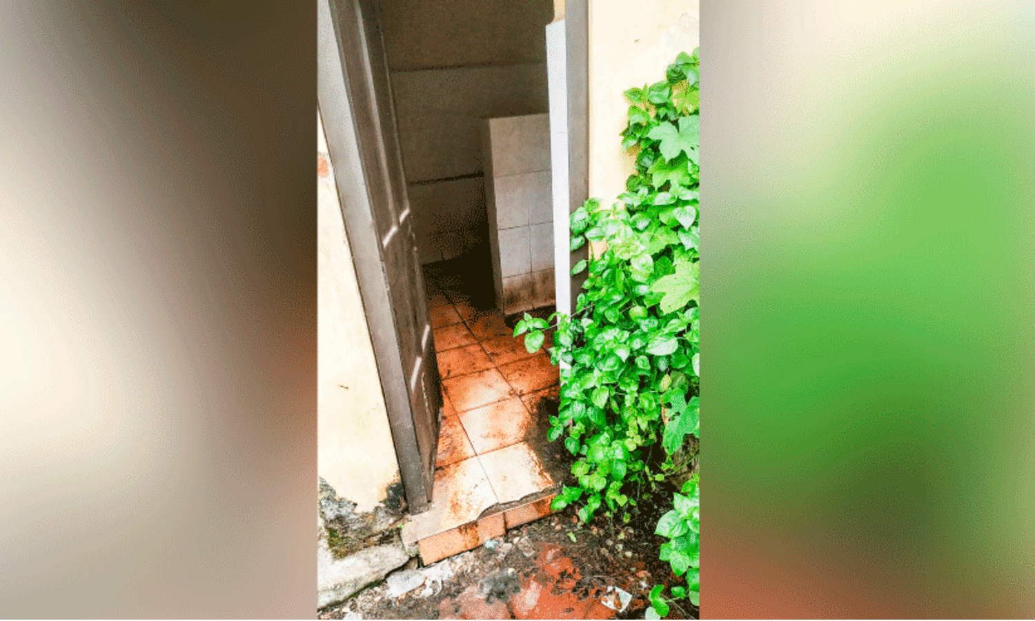 വൃത്തിഹീനമായി ശൗചാലയങ്ങൾ, കോട്ടയം നഗരം ദുർഗന്ധപൂരിതം;  എന്തെടുക്കുകയാണ്​ നഗരസഭ?