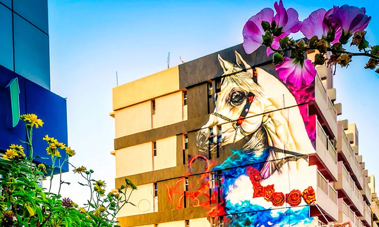 ചുമർ ചിത്രങ്ങളാൽ സുന്ദരിയായി അജ്മാന്‍റെ തെരുവോരങ്ങൾ