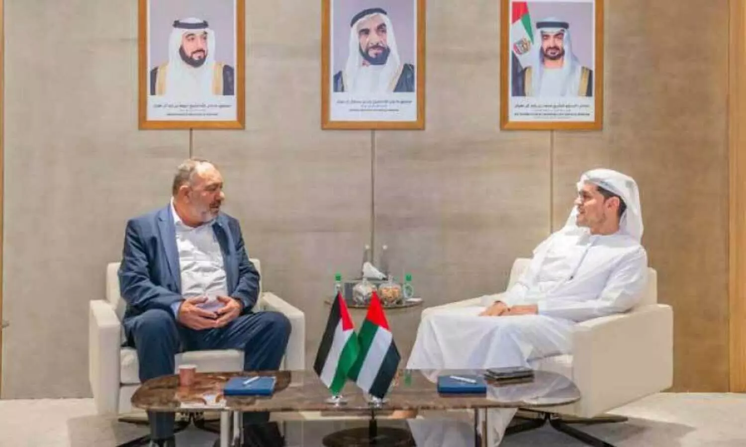 uae helps palestine