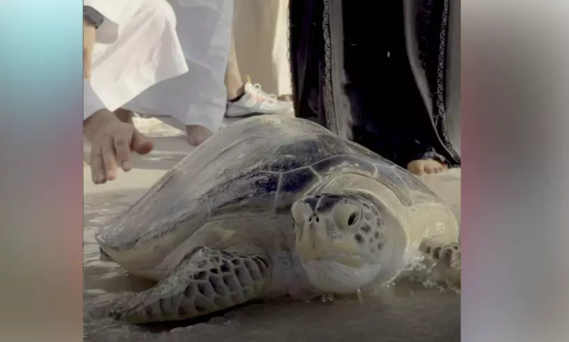 സ്വാ​ഭാ​വി​ക ആ​വാ​സ​വ്യ​വ​സ്ഥ​യി​ലേ​ക്ക് 81 ആ​മ​ക​ളെ തു​റ​ന്നു​വി​ട്ടു