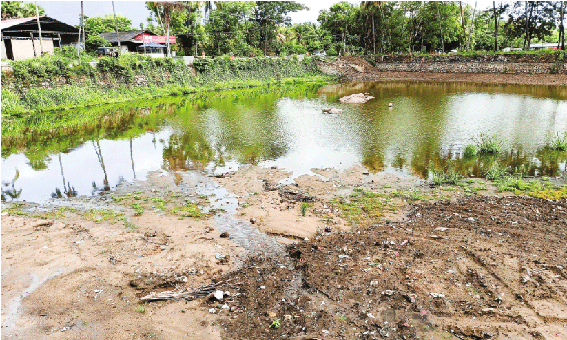 പുത്തൻകുളം കാത്തിരിക്കുന്നു, നീന്തൽ പരിശീലനത്തിനായി