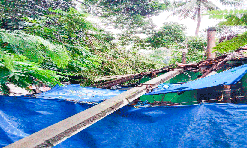 വൈദ്യുതി പോസ്റ്റ് വീടിനു മുകളിലേക്ക് വീണ്​ അപകടം