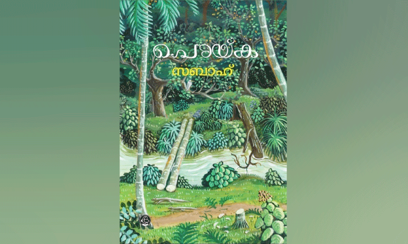 ഒരു ദേശം കഥയിൽ പ്രവേശിക്കുമ്പോൾ