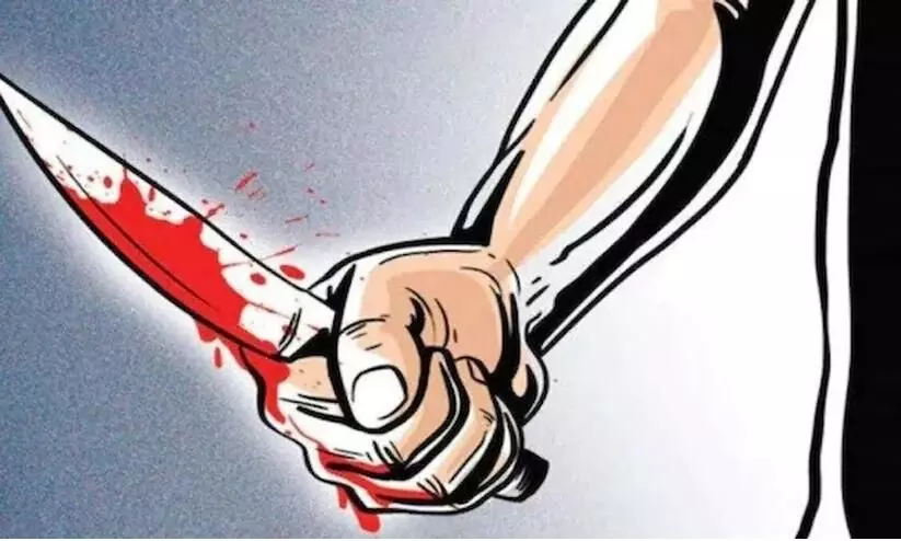 man stabs 23-year-old son
