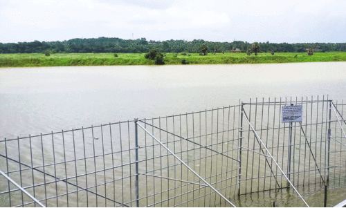 മ​ക​യി​ര​ത്തി​ലും ഇ​രു​ക​ര മു​ട്ടാ​തെ ഭാ​ര​ത​പ്പു​ഴ